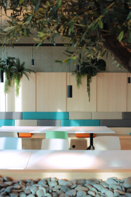 netgo, Sitzbank, Bistro Olivenbaum, Pflanzen, grün, Eiche, Berlin