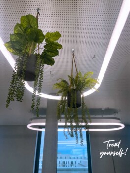 Event, Küche, Leuchtschrift, Fliesen, Freizeit, Veranstaltung